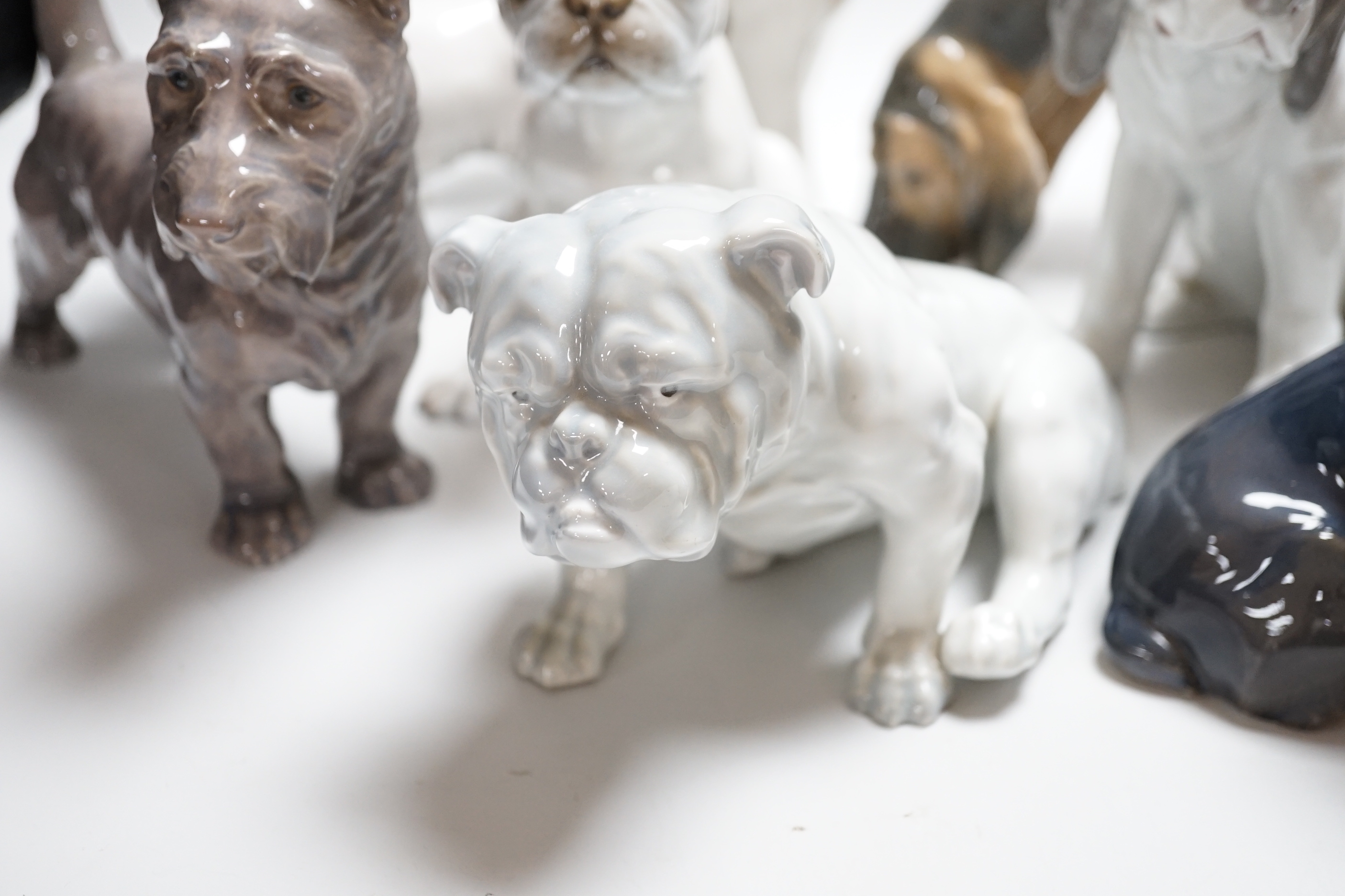 Nine models of dogs; Royal Copenhagen, B&G and Rosenthal etc including terriers, bulldogs, King Charles spaniel, etc, the largest 30cm wide